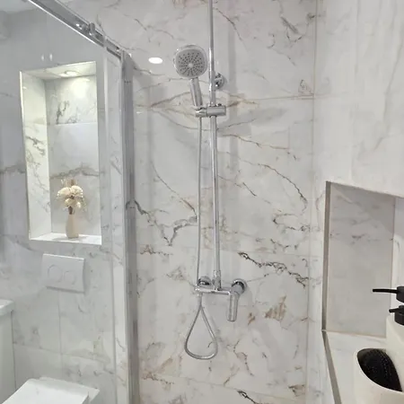 Apartment Penthouse Dijana